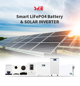 Système solaire hybride SKE 4,2 kW, contrôleur solaire MPPT 20A, entrée AC 220-230V, 4,2 kW 24V, onduleur hybride à onde sinusoïdale pure - Product Image 2