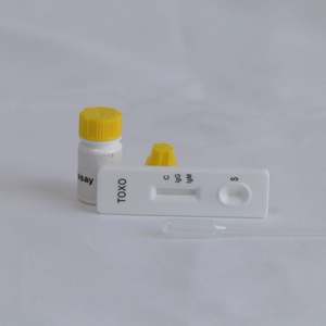 Kits de <span class=keywords><strong>test</strong></span> rapide pour animaux canins <span class=keywords><strong>Toxoplasma</strong></span> <span class=keywords><strong>IgG</strong></span>/<span class=keywords><strong>IgM</strong></span> <span class=keywords><strong>Toxoplasma</strong></span> Gondii Kit de <span class=keywords><strong>test</strong></span> rapide pour chat et chien - Product Image 3