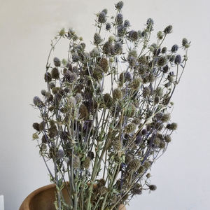 Fleurs séchées naturelles du Yunnan Eryngo <span class=keywords><strong>Eryngium</strong></span> pour les arrangements floraux festifs pour les décorations de Noël et d'Halloween - Product Image 3