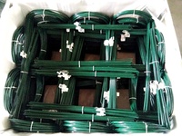 Supports de tiges de plantes individuelles pour orchidées et pivoines, fleurs de jardin