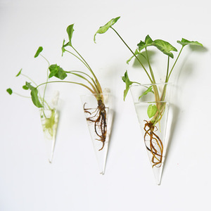 DD2319 Décoration d'intérieur, conteneurs de propagation pour terrarium, <span class=keywords><strong>bouteille</strong></span> à fleurs suspendue transparente, pot en verre, <span class=keywords><strong>vase</strong></span> mural hydroponique - Product Image 4