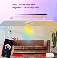 Lampu Downlight LED Zigbee Tuya Smart Home RGB Warm/Cool Light, Model Tipis 6W dengan Pengatur Waktu via Aplikasi, Lampu Pintar untuk Penggunaan di Rumah