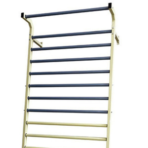 Jinyu Fitness Training <b>Ladder</b> 100x50x222cm Steel Indoor Rehabilitation Equipment - Product Image 2