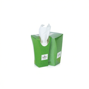 Portafazzoletti Pipedo Verde Eco Design per Auto e Casa - Product Image 2