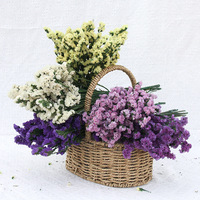 120g Gedroogde Limonium (Statice/Vergeet-mij-nietje) Bloemen, natuurlijk decoratief
