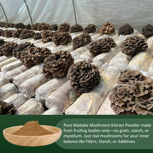 Amulyn Hữu Cơ grifola frondosa (maitake) nấm chiết xuất bột 10-50% 10:1 trống/nhựa container bao bì - Product Image 2