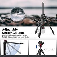 Treppiede da Viaggio NEEWER Basics 66.5"/169 cm per Fotocamera, Supporto Leggero e Portatile per DSLR con Testa a Sfera per Registrazione Video su iPhone