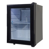 Mini-réfrigérateur-congélateur noir en verre 21L pour vente en gros