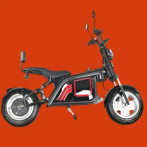 畅销书2000W 1000W Citycoco双电机海龟电动摩托车踏板车2轮