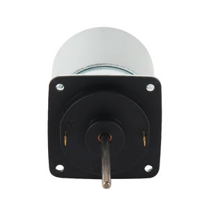 Moteur CC micro-brossé RS655DZ 29V 4005 tr/min 12,49W pour moteur de <span class=keywords><strong>portail</strong></span>, ouvre-<span class=keywords><strong>portail</strong></span> <span class=keywords><strong>coulissant</strong></span>, usage domestique et ventilateur – Approvisionnement direct usine - Product Image 2