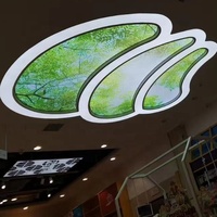 ZHIHAI Personnalisez les Plafonds Suspendus de Grande Taille Bleu Ciel Tissu PVC Film Imprimé Carreau de Plafond Carré