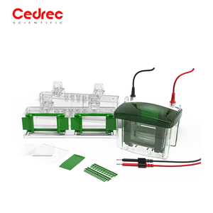 Sistema de Imagenología de Quimioluminiscencia de Alta Calidad, Sistema Automático de Imagenología de Gel para Experimentos de Electroforesis - Product Image 3