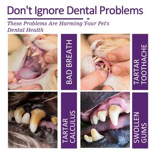 Yegbong 100% naturel organique enlever le tartre haleine fraîche protéger les gencives soins dentaires <span class=keywords><strong>pour</strong></span> animaux de compagnie V34 chat <span class=keywords><strong>chien</strong></span> <span class=keywords><strong>dentifrice</strong></span> - Product Image 6