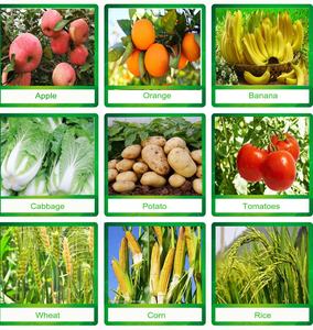 <span class=keywords><strong>ปุ๋ย</strong></span>อินทรีย์ที่ละลาย<span class=keywords><strong>น้ำ</strong></span>ได้อย่างสมบูรณ์ผงสีดำหยดชลประทานกรดฟูลวิค humate โพแทสเซียมการใช้งานที่หลากหลาย - Product Image 5