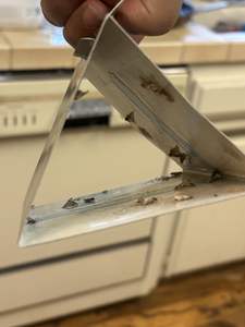 Piège efficace aux phéromones pour mites de garde-manger et mites des vêtements, non toxique et puissant pour les maisons et les placards - Product Image 6