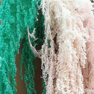 SZ04111 Flores reales de alta calidad <span class=keywords><strong>Amaranto</strong></span> seco preservado Decoración de la boda Flores preservadas <span class=keywords><strong>Amaranto</strong></span> para la venta - Product Image 4