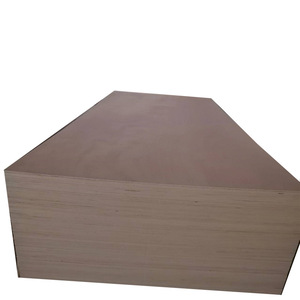 Contrachapado de Álamo Impermeable de 18 mm, Blanco, de <span class=keywords><strong>Alta</strong></span> Calidad, Fabricante Profesional - Product Image 6