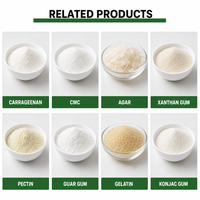 Poudre de carraghénane Tianjia, additif alimentaire épaississant, certifié Halal et Casher, qualité alimentaire pour gelée, crème glacée, yaourt, à base de plantes