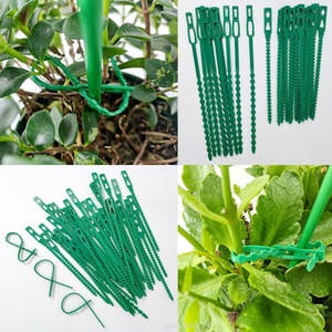 DaringFish Accessoires de jardinage : Clips de greffage pour plantes en PET, attaches pour légumes de serre et lianes, boucles de fixation pour jardin - Product Image 3