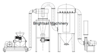 Machine à broyer les légumes, le gingembre et le poivre noir BSG Brightsail