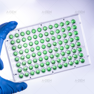 Microplate ELISA transparente à fond en V à 96 puits, stérile ou non stérile, pour liaison moyenne à élevée, avec couvercle, consommables de laboratoire pour la recherche - Product Image 6