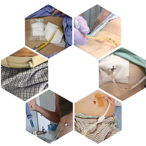 Sabuk katun perlengkapan kateter dialisis hewan peliharaan melar aksesoris penahan perut sejuk dapat disesuaikan untuk keamanan - Product Image 3