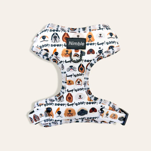 OEM & ODM kustom tali anjing peliharaan tali mewah besar dapat disesuaikan dan Set tali Neoprene bahan fitur personalisasi - Product Image 1