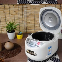 Pièce de rechange authentique pour cuve de cuiseur à riz TIGER/JBA-S10C JBA-A10C JBA-B10C, produit original fabriqué en Chine