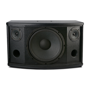 Altavoz activo para exteriores con sistema de sonido Dj de gran potencia de 10 pulgadas y 100W profesional de la venta al aire libre - Product Image 6