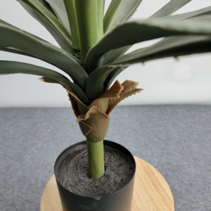 Pianta Artificiale di Agave in Vaso Personalizzabile per Decorazioni da Tavolo per Matrimoni - Product Image 3