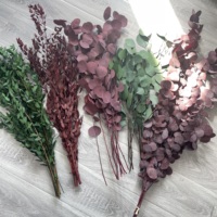 Fleurs et plantes stabilisées, tiges d'eucalyptus, feuilles d'eucalyptus naturelles, branche d'eucalyptus séchée, fleur d'eucalyptus pour la décoration de la Saint-Valentin