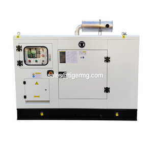 24kw 30kva 50kw 100 250kva 600kw 압축 발전기 플랜트 소형 천연 가스 열병합 발전기