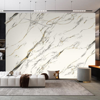 Panneau de revêtement UV 3D PVC de luxe moderne Miroir léger à haute pression Pierre UV avec motif floral pour le salon