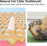 Jouets pour chatons en sisal doux et herbe à chat bio : stimulez votre chat avec des jouets interactifs et ludiques à mâcher