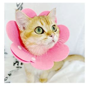 Elizabethaan Halsband Kat Huisdier Halsband Lichtgewicht Vilt Headcover Post-Op Herstel Anti-Likken Verstelbare Kraag Huisdier Accessoires - Product Image 4