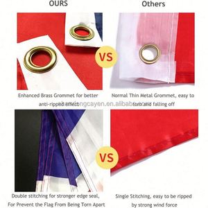 Meilleur magasin de drapeaux au monde, imprimez votre logo, bonne qualité, 150*90cm, 110gsm, drapeaux personnalisés en polyester tricoté de grande taille - Product Image 2