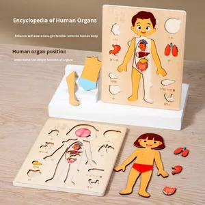 Jeu de puzzle 3D en bois sur la structure du corps humain pour l'éveil scientifique des enfants, jouet éducatif précoce sur l'anatomie des organes et la cognition squelettique - Product Image 3