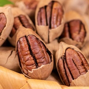 Wholesale Premium Pecan Nuts Large Granules Pecan <strong>Kernels</strong> Dried Vanilla Flavor Super Easy to Crack Food - Product Image 5