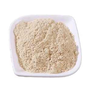 Poudre de <span class=keywords><strong>sureau</strong></span> pour aliments et boissons - Product Image 1