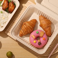 Boîte à lunch personnalisable en bagasse de canne à sucre biodégradable, type clamshell, avec couvercle pour hamburger à emporter, qualité alimentaire, pour les voyages