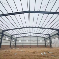 Cancha de Pickleball Personalizada con Estructura de Acero, Instalación Deportiva Cubierta con Techo de Metal Ligero