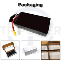 Batterie semi-solide TPENERGY Si-C 350Wh/kg 30Ah 6S 22.2V pour drones de cartographie en environnements à basse température