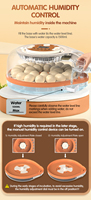 WONEGG 2026 Nouvelle tendance Contrôleur IA Équipement agricole Mini incubateur à œufs pour 26 poulets, cailles, canards Machine d'éclosion