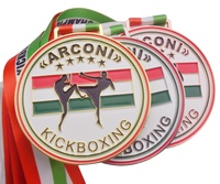 Médaille de compétition de kickboxing personnalisée ARCONI Hongrie, médaille de karaté, de taekwondo, récompense sportive en métal, médaille de boxe 3D pour les arts martiaux