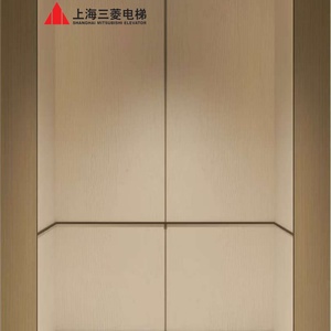 Ascensor Pequeño para Pasajeros, de Acero Inoxidable, con Sistema de Tracción, para Apartamentos y Oficinas, Diseño Moderno, 1 Año de Garantía - Product Image 6