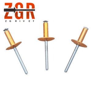 Loại Màu Nhôm Vỏ Hoa Hình Dạng Pop Mù Đinh Tán - Product Image 6