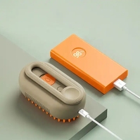 Offre Spéciale luxe 3 en 1 USB Charge Massage pour animaux de compagnie épilateur peigne outil de toilettage pour animaux de compagnie chats chiens peigne à vapeur
