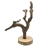 Perchoir à griffes en écorce de vigne naturelle pour perroquets, support durable pour le nettoyage des griffes, avec base, pour calopsites, perruches, décoration de cage