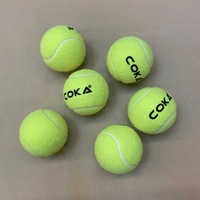 Pelotas de Tenis de Entrenamiento Profesional, Fieltro de Lana, Alto Rebote, Pelotas de Práctica Duraderas para Partidos en Cancha