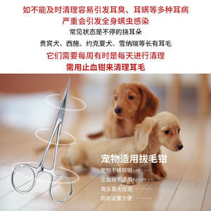 Pinzas de acero inoxidable para depilar el pelo de las orejas de perros, gatos y mascotas, herramienta de tijera hemostática para el cuidado de mascotas - Product Image 3